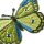 Applikation Schmetterling kiwi
