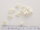 181172 Buchstaben- u. Zahlenknopf, weiss, Dill