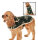 Butterick B4226 Haustier Accessory Paket Schnittmuster OFP