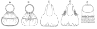 Butterick B4822 Handtaschen Schnittmuster OFP