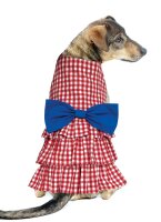 K4275 Kleid, KwikSew