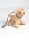 K4315 Accessoires Hund Puppe, KwikSew